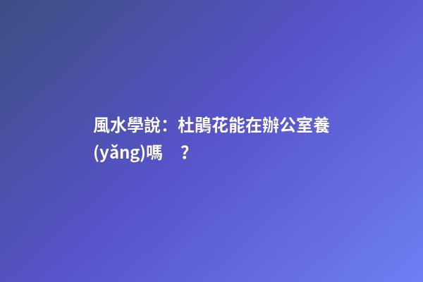風水學說：杜鵑花能在辦公室養(yǎng)嗎？